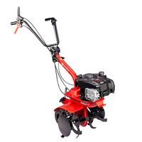 Motoculteur EUROSYSTEMS Euro 3 EVO à vitesse unique, moteur B&S 450 E-Series OHV, outils de jardinage, utilisation quotidienne, motoculteur, cultivateur