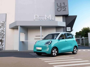2025 Wuling <span class=keywords><strong>Mini</strong></span> EV <span class=keywords><strong>PLUS</strong></span> New Energy Charge rapide Wuling <span class=keywords><strong>Mini</strong></span> <span class=keywords><strong>Premium</strong></span> <span class=keywords><strong>Plus</strong></span> Edition - Product Image 2