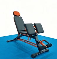 Banc de musculation multifonctionnel Wellshow pour un entraînement complet du corps, incluant des extensions dorsales, des positions inclinées, déclinées et plates