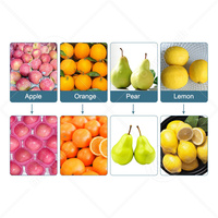 Orme Food Tomaat Appel Citroenwas Fruit Groente Citrus Appel Sinaasappel Waxmachine