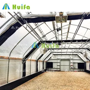 30ft*100ft Hemp Greenhouse Professional Manufacturer Single Span Fully Automated Hydroponic Green House For Sale