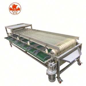 เครื่องคัดแยกเลมอนสำหรับทำความสะอาดและคัดแยกอโวคาโดมะเขือเทศอัตโนมัติ - Product Image 3