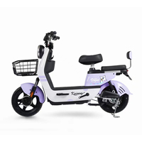 Vélo électrique pour adultes, scooter de mobilité électrique, vélo électrique 500W, cyclomoteur électrique pour adultes avec grandes roues de 14 pouces