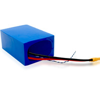 Batterie stable 14,8 V 15,6 Ah pour la robotique - Source d'énergie fiable pour les robots de service/industriels