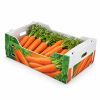 Plateau de transport de légumes en polypropylène ondulé personnalisé 500x300x170mm 3mm 650GSM Impression CMYK avec languettes d'empilage