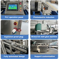 Machine d'emballage automatique HNOC pour boîtes de craie, machine d'emballage haute vitesse pour boîtes en plastique et cartons, idéale pour les sachets de thé