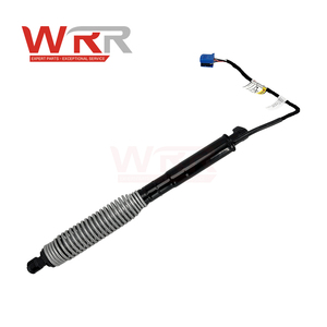 51247366404 51244840801 Amortisseur de hayon pour BMW F20 F21 118i 120i – Supports de levage à ressort à gaz fiables pour coffre arrière - Product Image 1