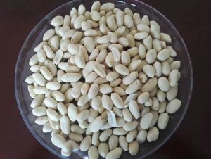 Shandong Origin geschälte Erdnuss kerne 3A Grade getrockneter Snack Blanchierte Erdnüsse Export qualität Gesund nahrhaft - Product Image 4