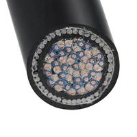 Cuivre 300V 500V 12 20 36 61 paire torsadée multipaire XLPE PVC individuel global blindé blindé Swa blindé câble d'instrument blindé