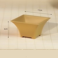11cm 4.33 pouces Uviofast Pots de bonsaï carrés classiques en plastique pour succulentes et cactus