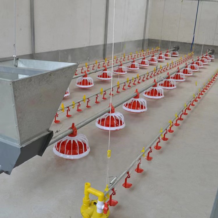 1.5KW HX Poultry Farm Equipment With Hopper Galvanized Pipe