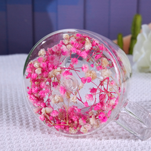 Tazza in <span class=keywords><strong>Vetro</strong></span> Borosilicato <span class=keywords><strong>di</strong></span> Alta Qualità <span class=keywords><strong>con</strong></span> Logo Personalizzato, Doppia Parete <span class=keywords><strong>con</strong></span> <span class=keywords><strong>Fiori</strong></span> Secchi - Product Image 5