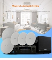 SHILE AV-30 BX307 305 YW2 Set Speaker Home Theater Profesional 5.1 untuk Ruang Tamu, Pemasangan di Langit-langit, Suara Surround, Model Rak Buku