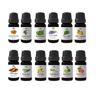 Set Hadiah Label Pribadi 100% Set Diffuser Aroma 12 Botol Minyak Esensial Alami untuk Spa, Pewangi Rumah, Relaksasi