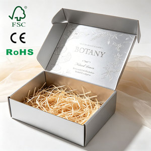 Boîte d'<span class=keywords><strong>abonnement</strong></span> en carton ondulé argenté brillant avec logo personnalisé pour la livraison mensuelle de produits de beauté en <span class=keywords><strong>surprise</strong></span>, style avion - Product Image 1