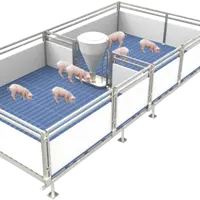 Pig Nursery Cage Equipment, Breeding, Cheap, Top Sale