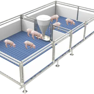 Top bán giá rẻ Chăn Nuôi Lợn Nursery Crate thiết bị