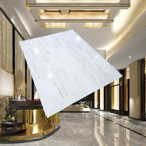 Carrara กระเบื้องหินอ่อนสีขาวขอบเอียงขัดเงาธรรมชาติขนาดตัดเรียบตุรกีวิลล่าทันสมัย AC - Product Image 3