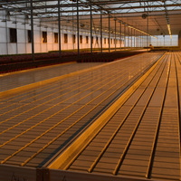 Bancs de culture industriels roulants 4x8ft Plateaux d'inondation Système de reflux et de débit Table de support de culture Banc roulant