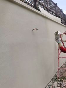 Revestimiento Acrílico Líquido QYM de Alta Cobertura e Impermeable para Construcción, Aplicación con Brocha - Product Image 3