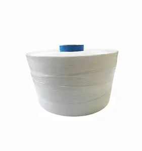 Nhựa Polypropylene <span class=keywords><strong>PP</strong></span> Raffia sợi <span class=keywords><strong>twine</strong></span> chủ đề chuỗi - Product Image 1