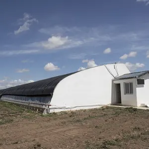 Serre Agricole de Estufa Solar de Morango Agrícola Hothosue Inverno passivo