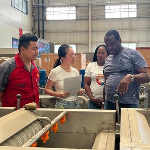 Ligne <span class=keywords><strong>de</strong></span> production <span class=keywords><strong>de</strong></span> chips <span class=keywords><strong>de</strong></span> <span class=keywords><strong>pommes</strong></span> <span class=keywords><strong>de</strong></span> <span class=keywords><strong>terre</strong></span> semi-automatique | Productivité élevée | Usines <span class=keywords><strong>de</strong></span> transformation <span class=keywords><strong>de</strong></span> légumes | <span class=keywords><strong>Vente</strong></span> directe d'usine | Personnalisé - Product Image 2