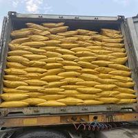 Chlorure de polyaluminium de qualité potable 30% PAC Thaïlande/Vietnam/Cambodge Service DDP porte-à-porte Coagulant pour le traitement de l'eau