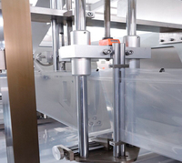 Machine d'emballage horizontale HFFS automatique pour sachets Doypack en plastique avec fermeture éclair, pour le remplissage de 10 à 3000 g de café ou de protéines en poudre