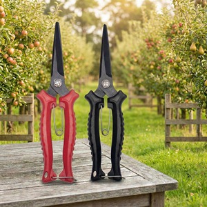 Nice <b>Pruning</b> Shears Stainless Steel 65mm Blade Garden <b>Tree</b> Trimming <b>Tools</b> Orchard Grape Picking - Product Image 1