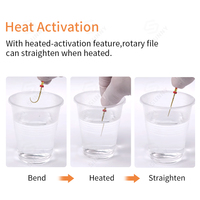 Instrumentos de Tratamiento Endodóntico Eléctrico con Activación por Calor, Limas Rotatorias de NITI para Endodoncia Dental