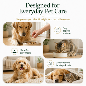 Suplemento para la Visión <span class=keywords><strong>de</strong></span> Mascotas Mayores, Cápsulas Botánicas para la Salud Ocular <span class=keywords><strong>de</strong></span> Perros y Gatos, Defensa Antioxidante Natural para el Bienestar - Product Image 4
