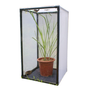 Large Eco-Friendly Outdoor Insect Mesh Cage <strong>Terrarium</strong> Collapsible Caterpillar Habitat Solid Pattern <strong>Plastic</strong> Tray Pallet Zipper - Product Image 3