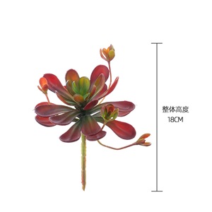 Plante succulente artificielle Lotus bleu, vert clair, rouge foncé, en plastique, pour décoration de mariage, décoration murale pour la maison - Product Image 4