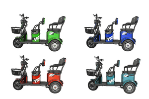 Triciclo Eléctrico de 3 Ruedas con Carrocería Cerrada, Motor sin Escobillas de 600W de Alta Potencia, 48V 20AH, Nuevo Estilo, para Adultos - Product Image 5