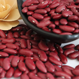 Nihewan alta calidad crudo seco Fagioli Rossi frijol rojo oscuro al por mayor frijoles rojos - Product Image 4