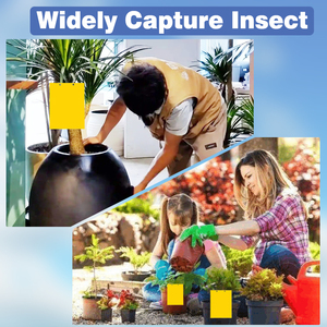 Pot de fleurs pratique jaune avec plaque collante double face multifonctionnelle en plastique, servant de piège et d'outil de jardinage et de décoration - Product Image 2