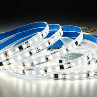 Bande LED SMD2835 AC 110V 220V, 120 LED/m, IP20, 8mm, sans driver, 3000K 6500K, pour plafond, armoire, décoration intérieure