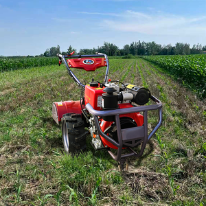 Motor de Alta Productividad para Agricultura, Motocultor Rotatorio, Motocultor con Engranajes, Mini Tractor - Product Image 1