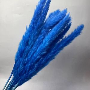 Offre Spéciale : 15 Pampas Naturelles Moelleuses de 60 cm pour Décoration de Mariage - Product Image 6