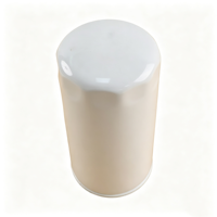 Filtre à carburant GALC 1705122 	 11691298 BH1X9155AA BHC5104 504292579 4897897 21703110 4812271619 P550880