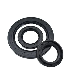 Large Quantities TC FKM High Temperature Resistant Skeleton Oil Seal With Spring