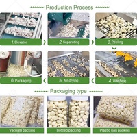 Machine à éplucher l'ail pour casser les bulbes de gingembre industrielle automatique et séparer la gamme de produits en Égypte