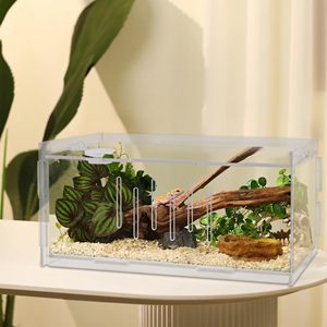 Benutzer definierte klare quadratische Acryl Reptilien <span class=keywords><strong>Terrarium</strong></span> Gehäuse Magnete polierte <span class=keywords><strong>Display</strong></span> Box für Kaufhaus Werbung <span class=keywords><strong>Display</strong></span> - Product Image 3