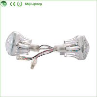 Lampes LED à points couleur pleine gamme 60mm GS8206 DC24V IP65 18pcs SMD5050 RGB double face avec contrôleur WIFI pour parcs à thème