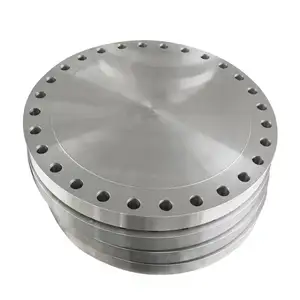 Metal Flange Stainless Steel Bling Flange Factory Carbon Steel Thread Rasied face or Flat Plate Flange