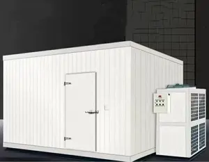 Commercial Ice cream storage cold room /Supermarket frozen cold room for meat and fish