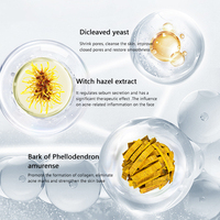 Sérum minimiseur de pores avec acide lactique, acide salicylique, hamamélis et lysat de ferment bifidus - Essence de contrôle du sébum et d'équilibre de la peau