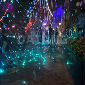 Lumière laser RVB pour projection interactive sur arbres de jardin et installations artistiques publiques - Product Image 5