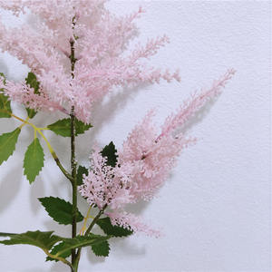 Nouvelle herbe de la <span class=keywords><strong>pampa</strong></span> à <span class=keywords><strong>tige</strong></span> unique, fleur séchée, petite fleur <span class=keywords><strong>artificielle</strong></span>, marron, blanc, gris, 85 cm, vente en gros - Product Image 5